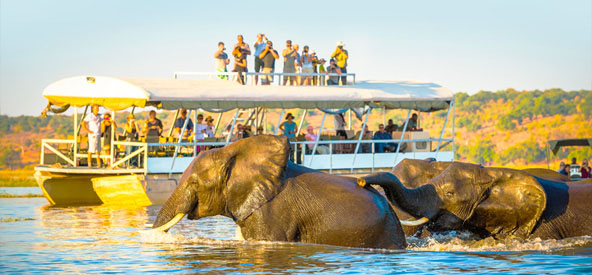 South Africa, Botswana - Chobe Picture