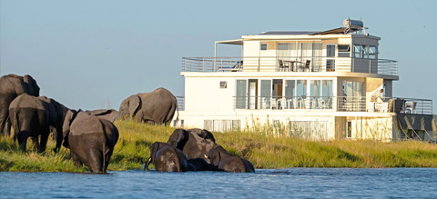 Luxe South African Safari + Victoria Falls and Botswana’s Chobe River House Boat Tour