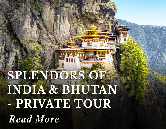 Splendors of India and Bhutan - Private Tour