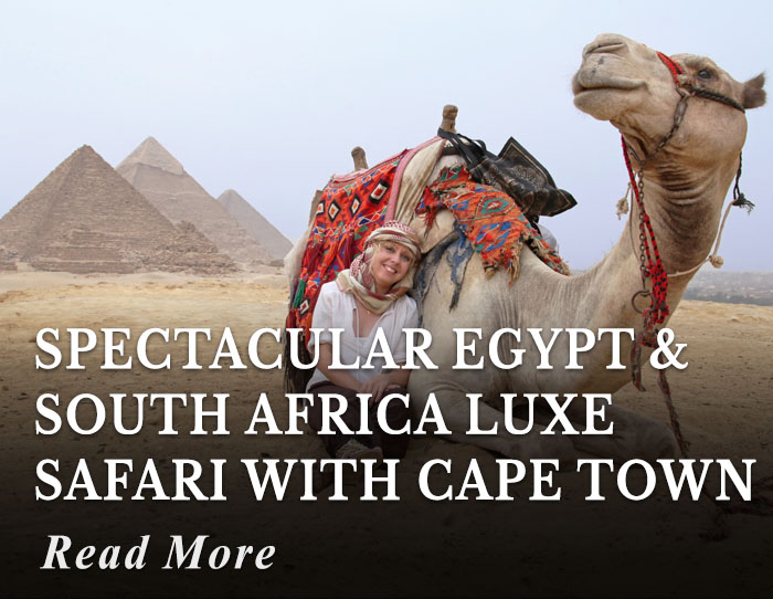 Spectacular Egypt and South Africa Luxe Safari with Cape Town Tour