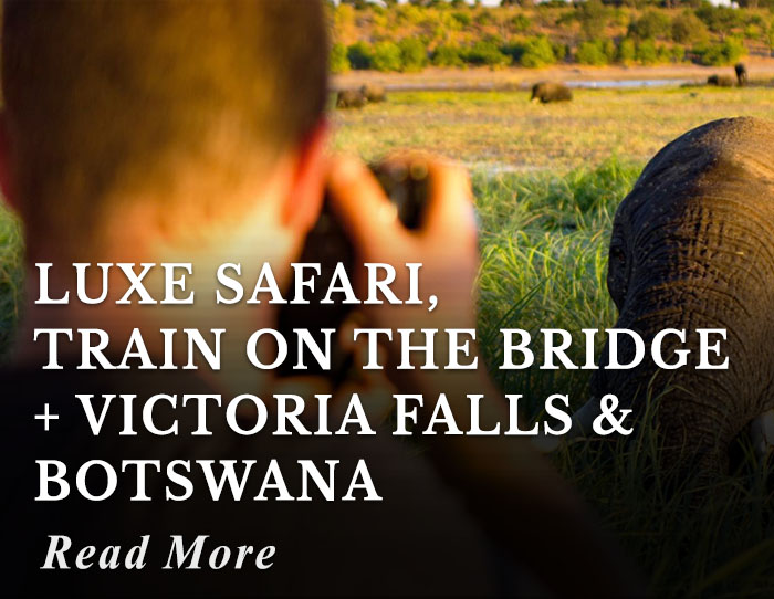 Luxe Safari, Train on the bridge + Victoria Falls and Botswana Tour
