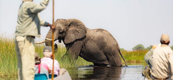 South Africa Chobe River Picture