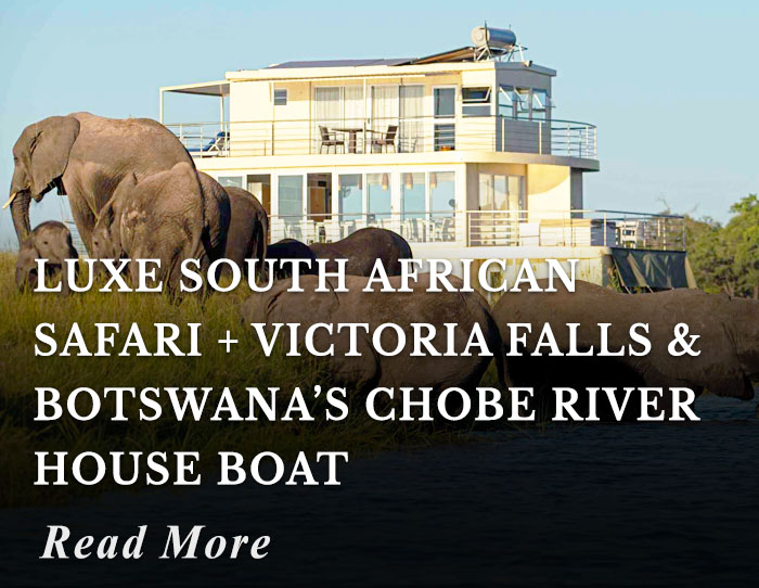 Luxe South African Safari + Victoria Falls and Botswana’s Chobe River House Boat Tour