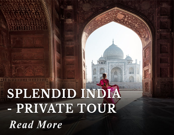 Splendid India - Private tour