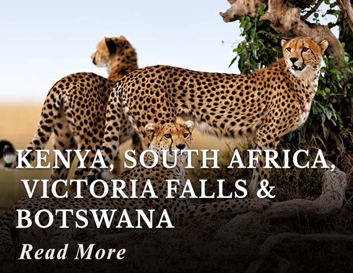 Kenya, South Africa, Victoria Falls and Botswana Tour