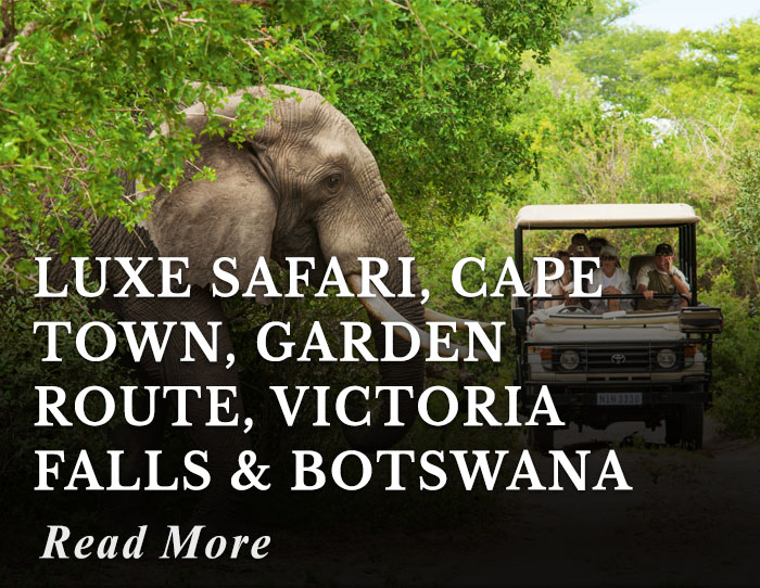 Luxe Safari, Cape Town, Garden Route, Victoria Falls and Botswana Tour