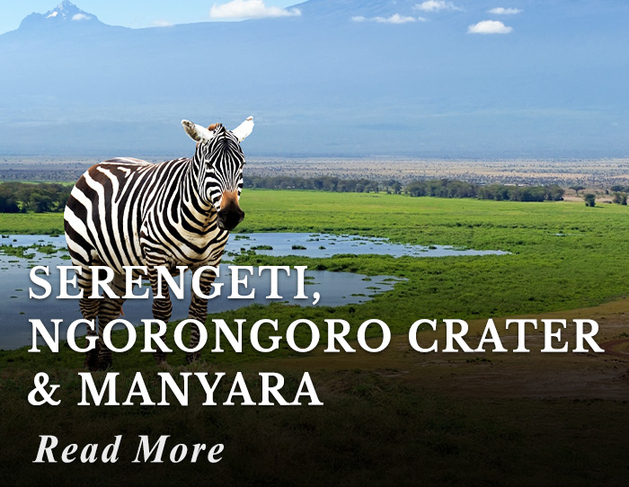 Serengeti, Ngorongoro Crater and Manyara Tour